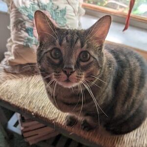 Meet your Posher, Angela